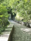 Immagine di Pellegrinaggio a Santa Rita da Cascia - 27