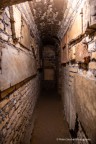 Immagine di Bere dalla sorgente: un ritorno alle origini della Fede - Catacombe S. Felicita - 38
