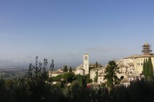 Immagine di Pellegrinaggio Assisi 26 ottobre 2026 - 5